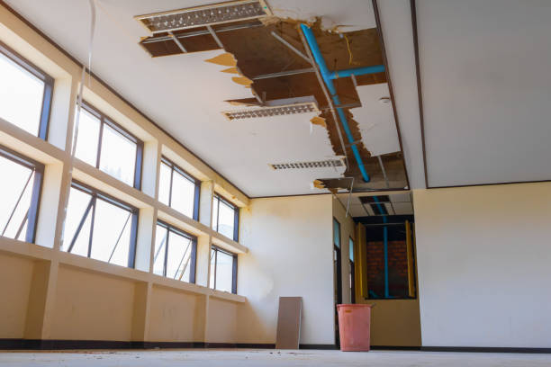 Best Sewage cleanup and water damage restoration  in Lonaconing, MD