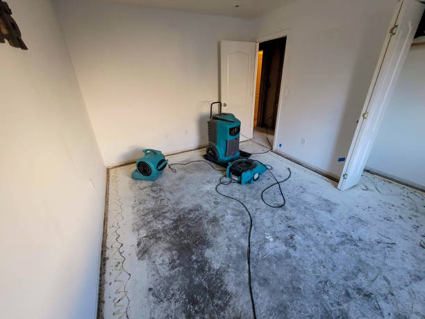 Best Basement water damage restoration  in Lonaconing, MD