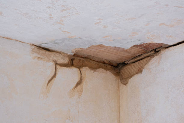 Best Water damage contractors near me  in Lonaconing, MD