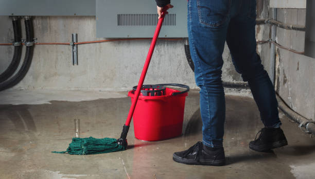 Best Emergency water damage restoration  in Lonaconing, MD
