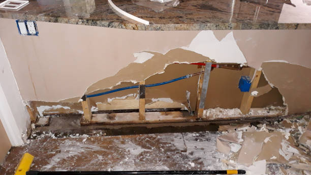 Best Water damage restoration near me  in Lonaconing, MD