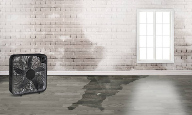 Best Fire Damage Restoration  in Lonaconing, MD