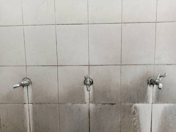 Best Carpet water damage restoration  in Lonaconing, MD