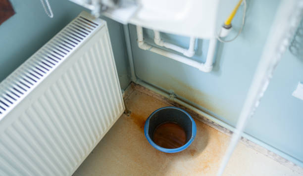 Best Flooded house restoration  in Lonaconing, MD