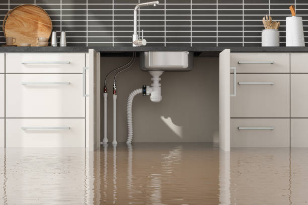 Best Water damage restoration near me  in Lonaconing, MD