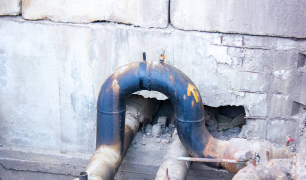 Best Water damage restoration services  in Lonaconing, MD