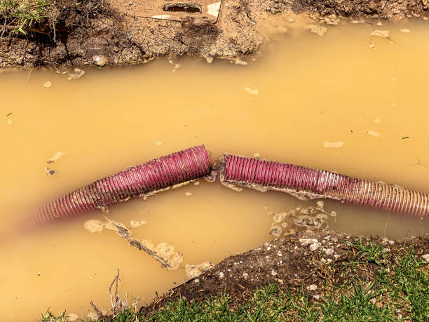 Best Professional water damage repair  in Lonaconing, MD
