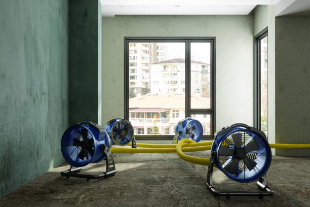 Best Local water damage restoration  in Lonaconing, MD