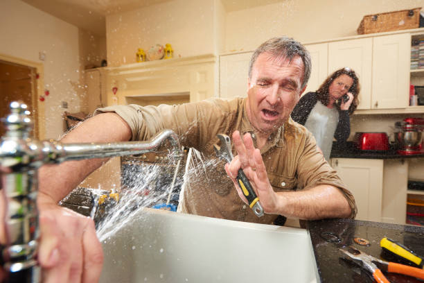 Best Water damage cleanup near me  in Lonaconing, MD